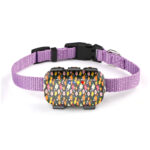 Pet GPS tracker product detail image for pet location monitoring