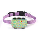 Pet GPS tracker product detail image for pet location monitoring